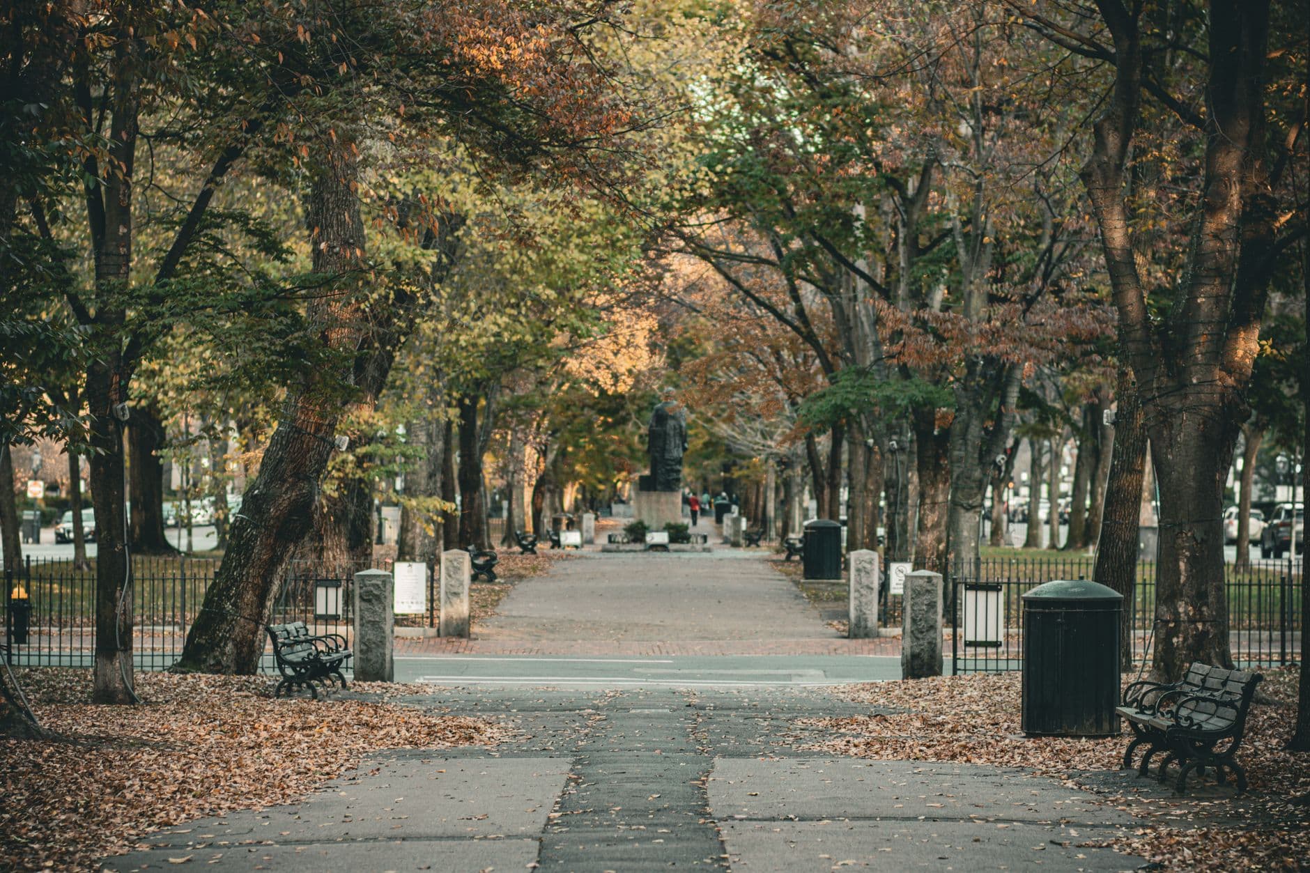 Picturesque autumn walkway in Boston with benches and fall foliage.